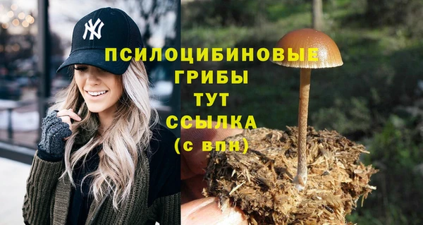 эйфоретик Абаза